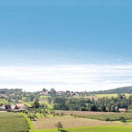 Gasthaus Pension Heidhof Freiamt 外观 照片