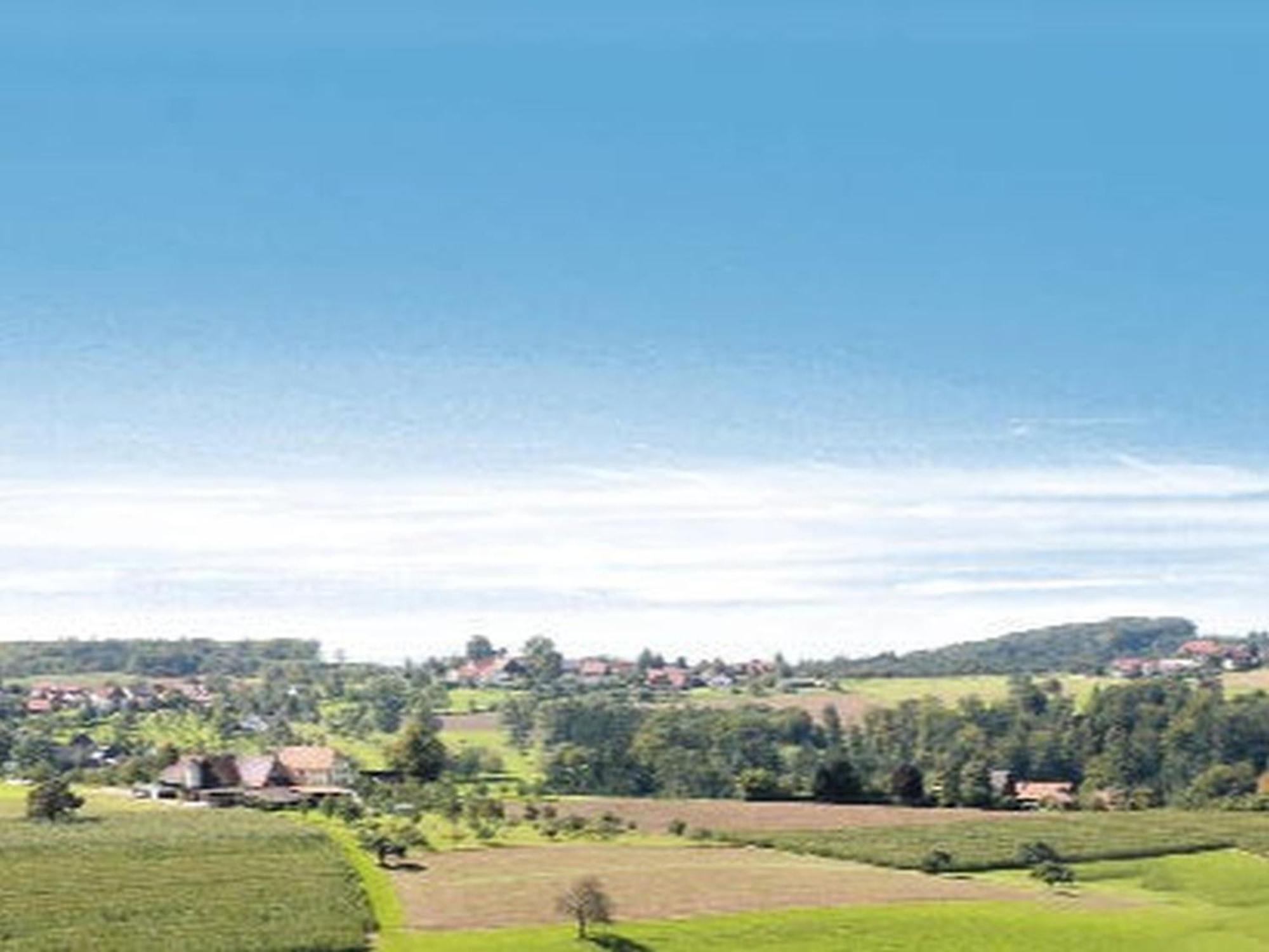 Gasthaus Pension Heidhof Freiamt 外观 照片